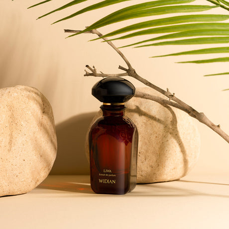 A dark glass Liwa Eau de Parfum by Fragrapedia Haus stands on a beige surface between two stones, as shadows from a branch and palm leaf evoke the scent’s allure of oud incense and amber wood in the air.