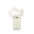 Nebbia Densa sample