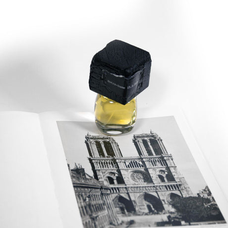 Filippo Sorcinelli Perfumes born in 2014; dedicated to the artistic passions of their creator:
  Gothic art, music, photographythe fog.Shop at Theperfumedirectory.com