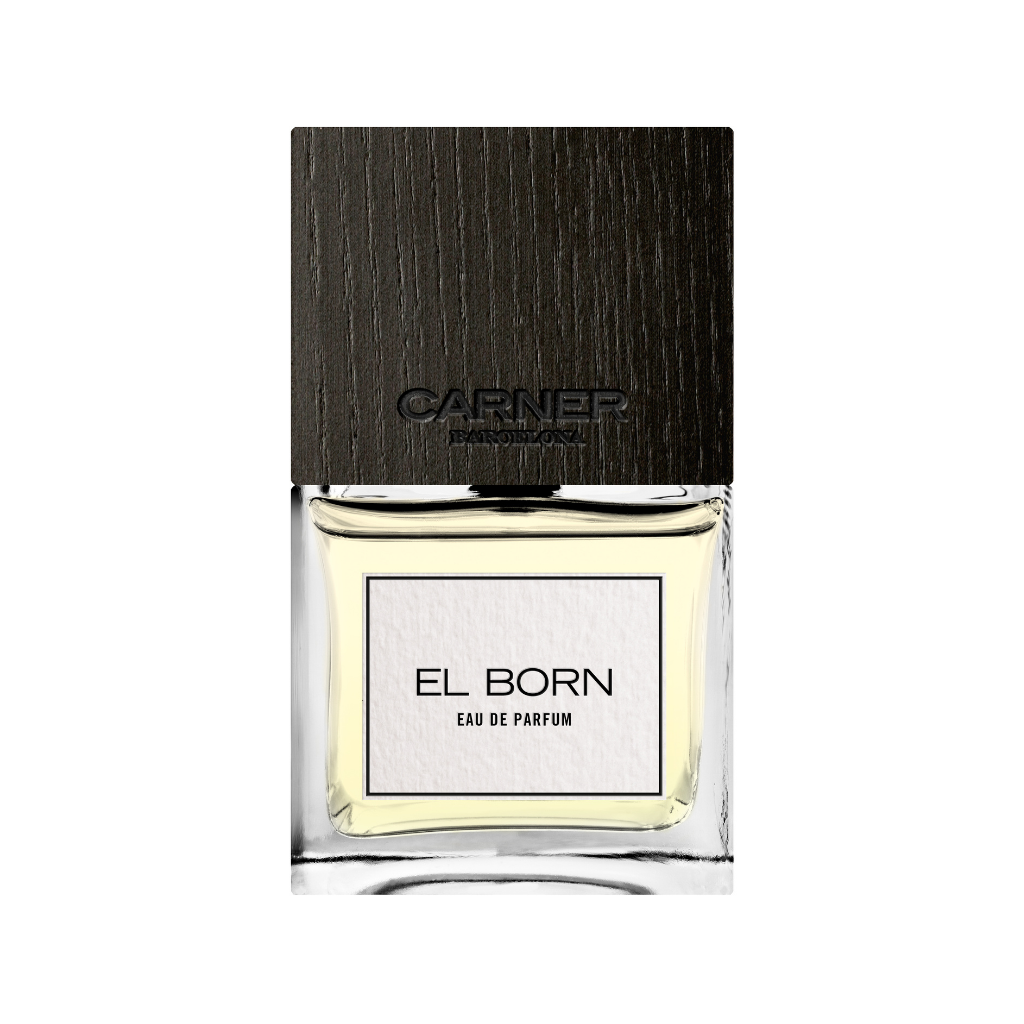 EL BORN EDP