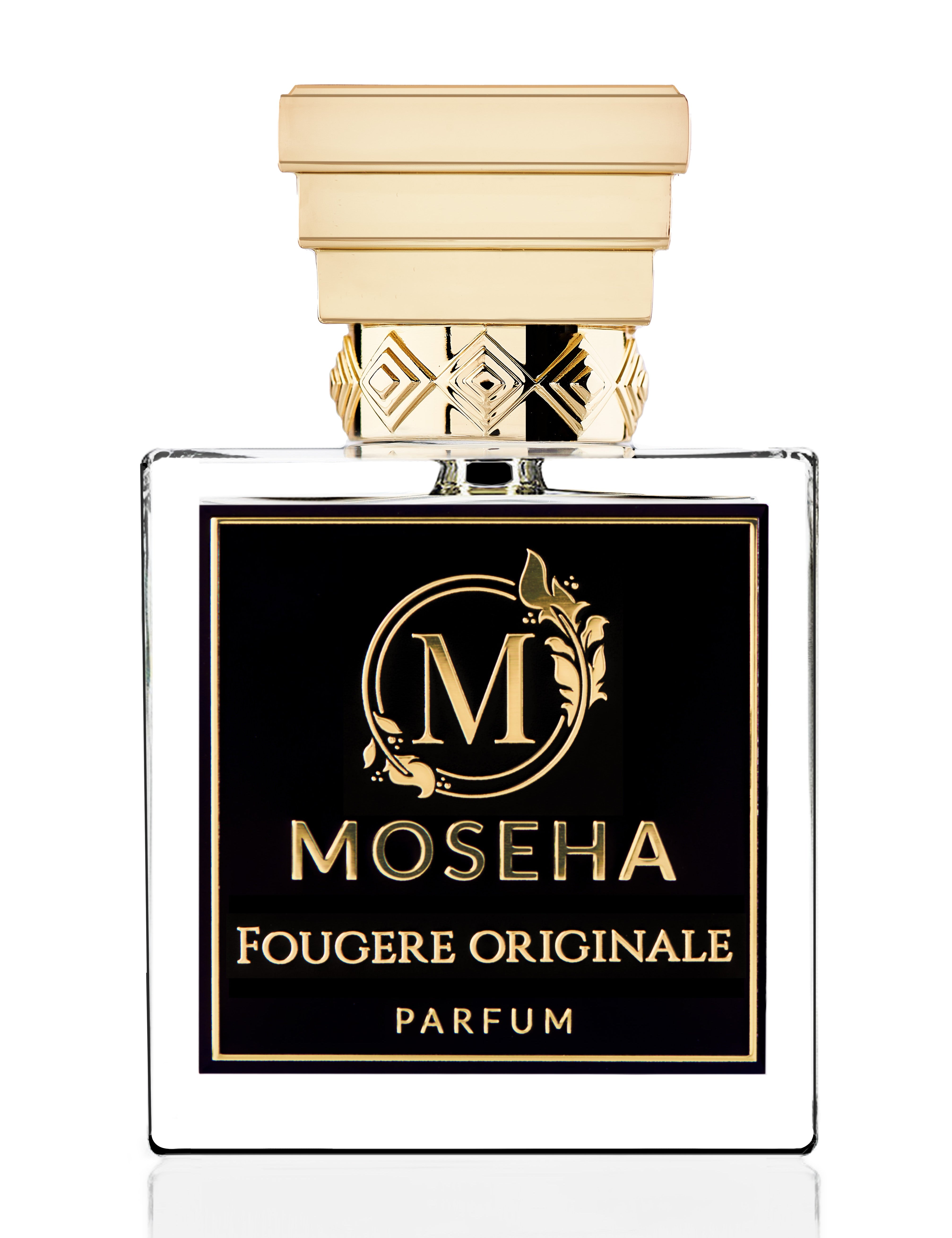 FougreOriginale.jpg