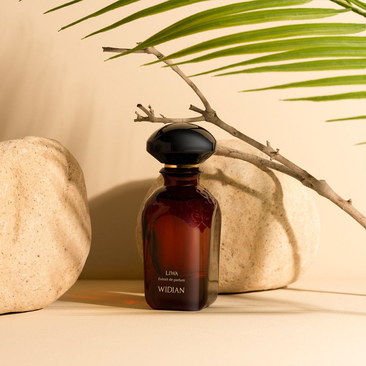 A dark glass Liwa Eau de Parfum by Fragrapedia Haus stands on a beige surface between two stones, as shadows from a branch and palm leaf evoke the scent’s allure of oud incense and amber wood in the air.