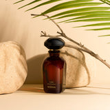 A dark glass Liwa Eau de Parfum by Fragrapedia Haus stands on a beige surface between two stones, as shadows from a branch and palm leaf evoke the scent’s allure of oud incense and amber wood in the air.