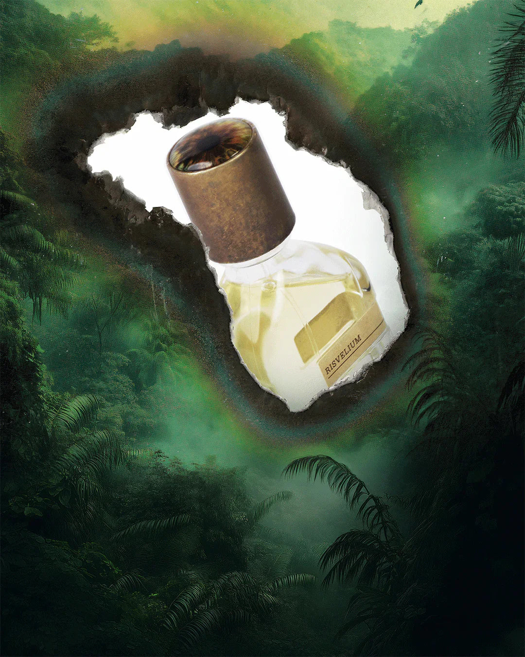 A glass perfume bottle with a bronze cap and gold RISVELIUM label stands against a torn white backdrop over lush green jungle—Fragrapedia Haus’s Risvelium Eau de Parfum by Orto Parisi, an ethereal scent capturing nature’s awakening.