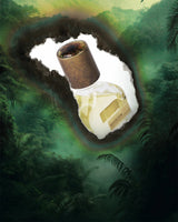 A glass perfume bottle with a bronze cap and gold RISVELIUM label stands against a torn white backdrop over lush green jungle—Fragrapedia Haus’s Risvelium Eau de Parfum by Orto Parisi, an ethereal scent capturing nature’s awakening.