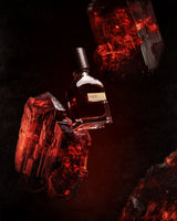 The Terroni Eau de Parfum by Fragrapedia Haus floats amid glowing red crystals on black, its dark bottle with black cap and gold label evoking the mysterious roots and dynamic energy of growth.