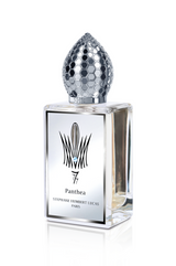 A clear glass bottle of Panthea Eau de Parfum by Fragrapedia Haus, with a geometric silver honeycomb cap and elegant black text—an alluring fragrance touched with iris and white musk.